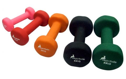 CAPRIOLO Vinylová činka Capriolo 5 kg