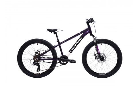 HORSKÝ BICYKEL CAPRIOLO MTB LC 24"/AL FIALOVO-MODRÝ