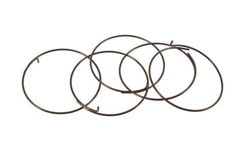 Pružinky FULCRUM, pre cestné Fulcrum a Campagnolo orechy