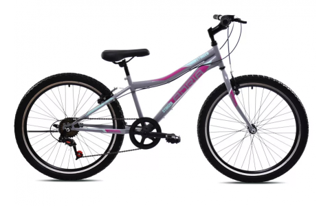 DETSKÝ BICYKEL CAPRIOLO ADRIA STINGER 20/7HT SIVO-PINK 2025 DETSKÝ BICYKEL CAPRIOLO ADRIA STINGER 20/7HT SIVO-PINK 2025