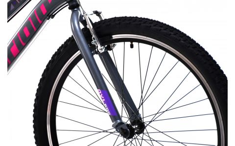 DETSKÝ BICYKEL CAPRIOLO MTB DIAVOLO 600/18HT gray purple