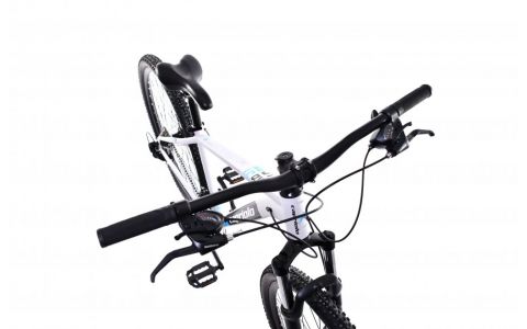 HORSKÝ BICYKEL CAPRIOLO LC 9.X MTB 29"/21HT BIELY, VEĽ. 16, 2025