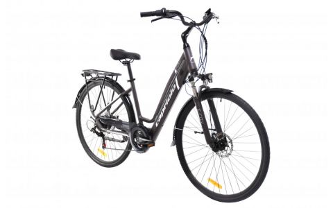 ELEKTRICKÝ BICYKEL E-CITY SIVO-STRIEBORNÉ