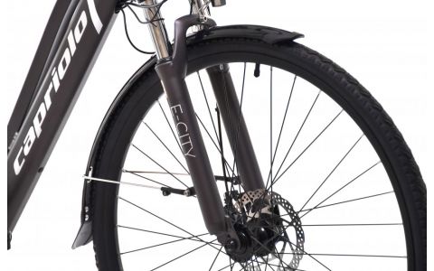 ELEKTRICKÝ BICYKEL E-CITY SIVO-STRIEBORNÉ