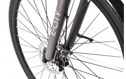 ELEKTRICKÝ BICYKEL E-CITY SIVO-STRIEBORNÉ