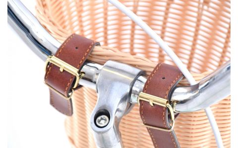 DETSKÝ BICYKEL CAPRIOLO DIANA KID 20"HT pink