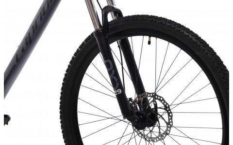 HORSKÝ BICYKEL CAPRIOLO MTB OXYGEN 29"/21HT grey black red