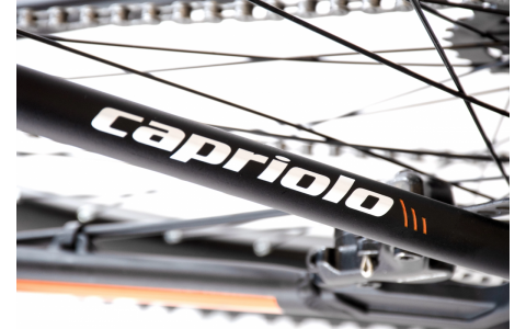 HORSKÝ BICYKEL CAPRIOLO MTB LC 29-3 29" 21" BLACK SILVER