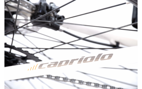 HORSKÝ BICYKEL CAPRIOLO MTB LC 29-4 16" White