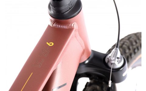 HORSKÝ BICYKEL CAPRIOLO MTB LC 29-6 HID.DISC BRAKE-SHIMANO brown