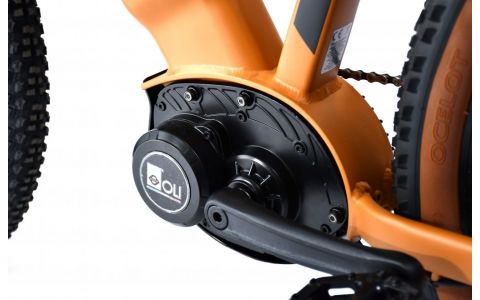 ELEKTRICKÝ BICYKEL CAPRIOLO E-BIKE VOLTA 9.4 29"matt bronze