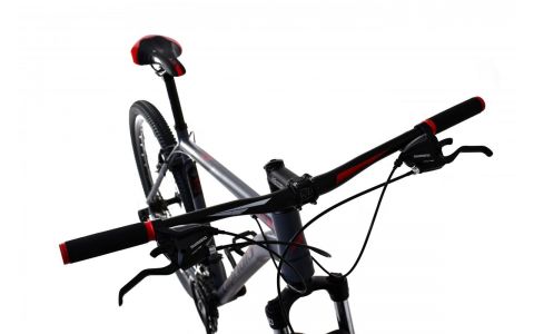 HORSKÝ BICYKEL CAPRIOLO LC 9.1 MTB 29"/21AL, SIVO-ČERVENÝ, VEĽ. 19",  2024